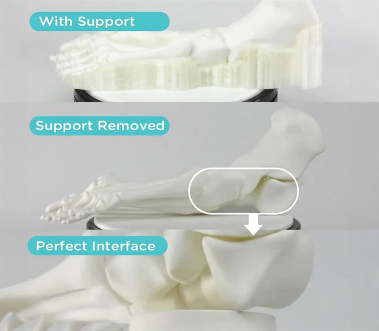 Polymaker PolyDissolve S1 PVA 1.75mm Filament 750g