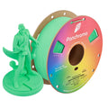 Panchroma Matte PLA Filament 1.75mm 1kg ( Formerly Polymaker PolyTerra PLA)