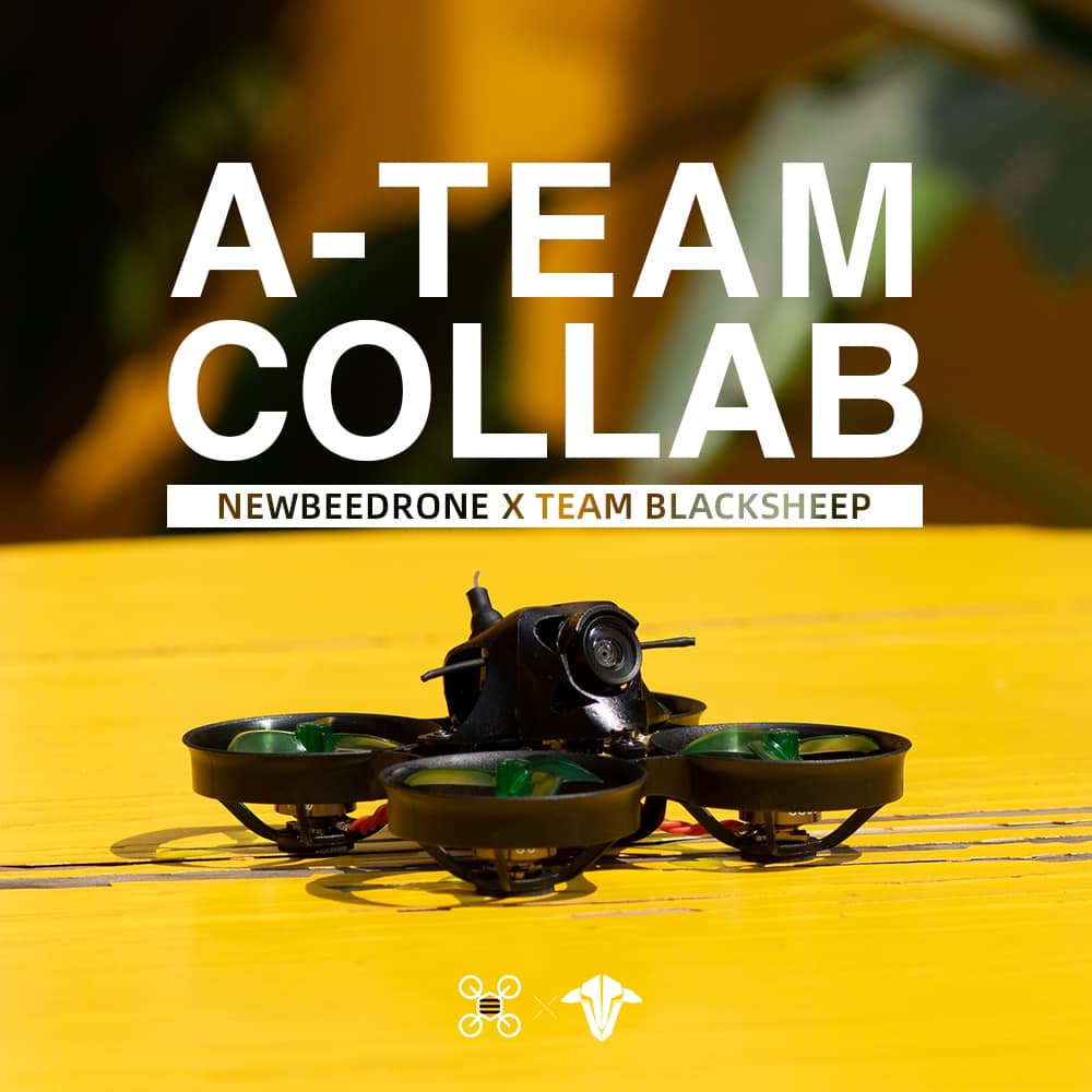 NewBeeDrone x Team Black Sheep BNF Acrobee BLV4 27000Kv Whoop