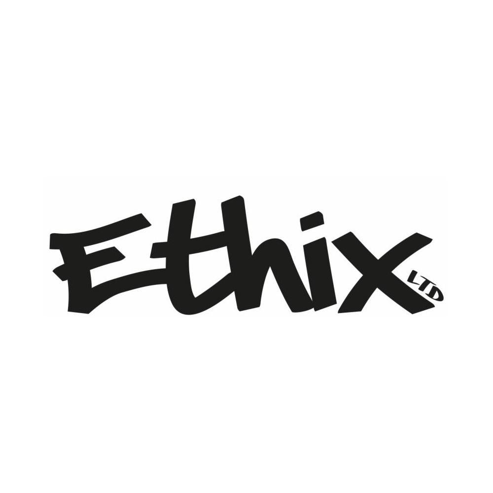 TBS Ethix Backpack Project- Mr. Steel by Thinktank