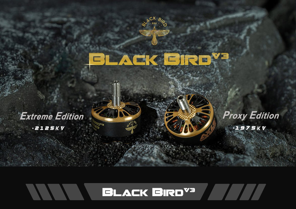 Axisflying Black Bird V3 2125kv Motor